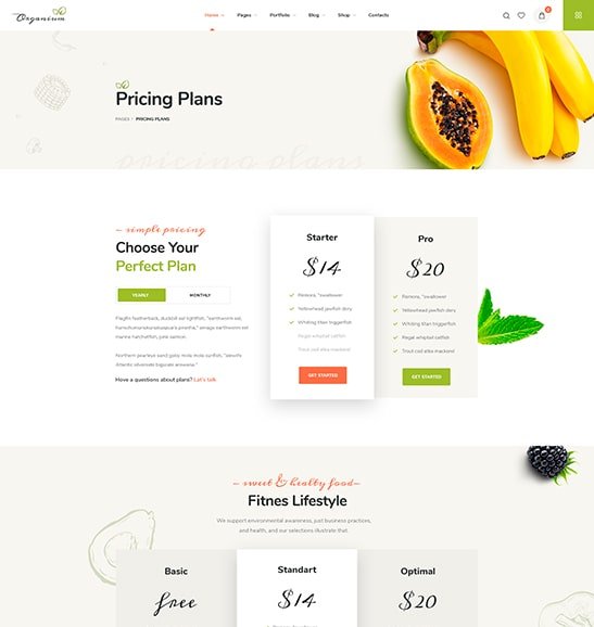 08. Pricing Plan